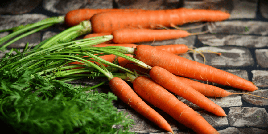 Carrots with background